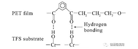 TFS与PET的结合模型-联净覆膜铁