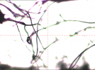 cc0feb917d8c5d2d9878df5845a094dc.png cc0feb917d8c5d2d9878df5845a094dc.png