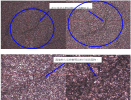 1a269eab7cf7a204bbbf06366b751c47.png 1a269eab7cf7a204bbbf06366b751c47.png
